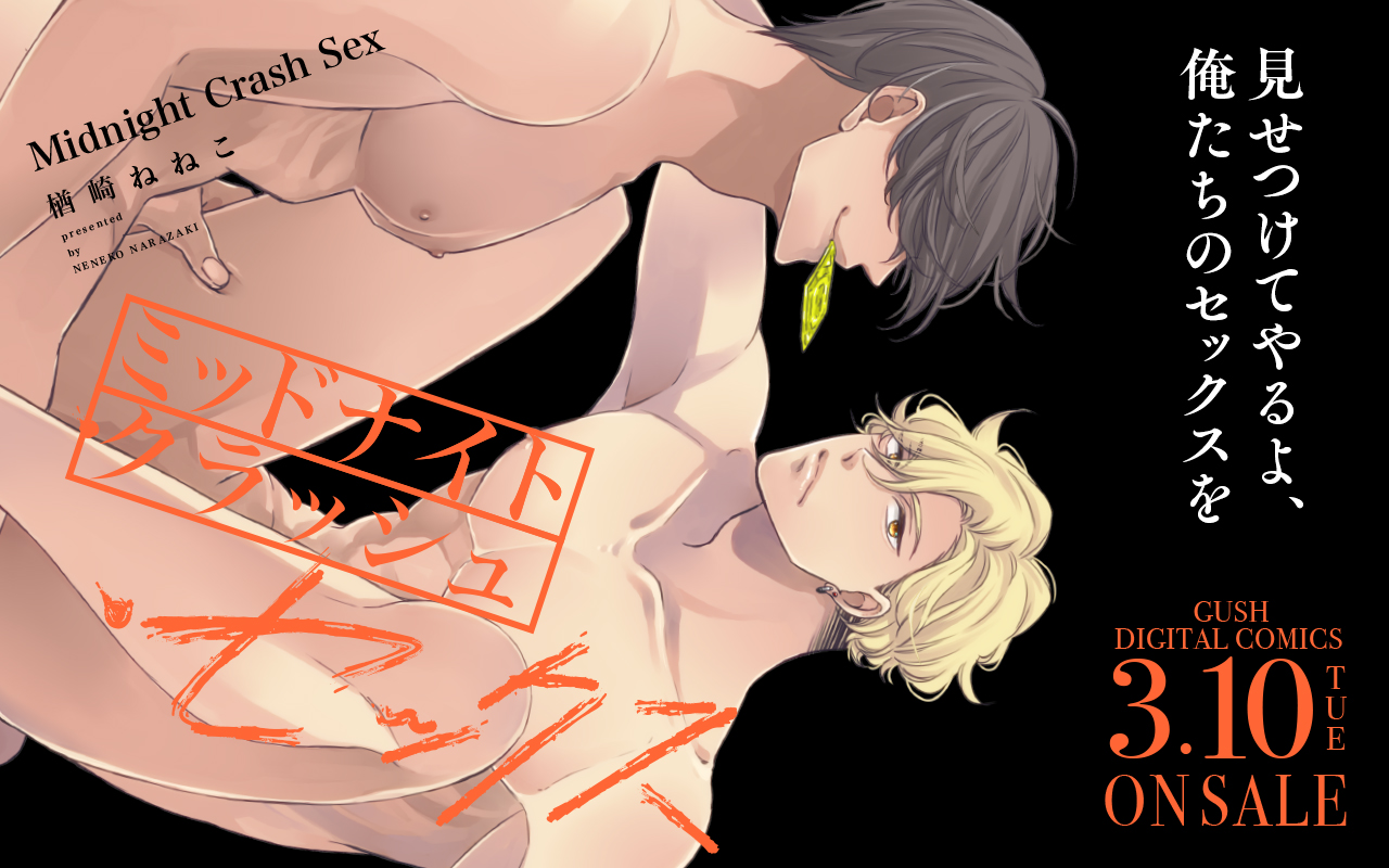 ミッドナイト・クラッシュ・セックス