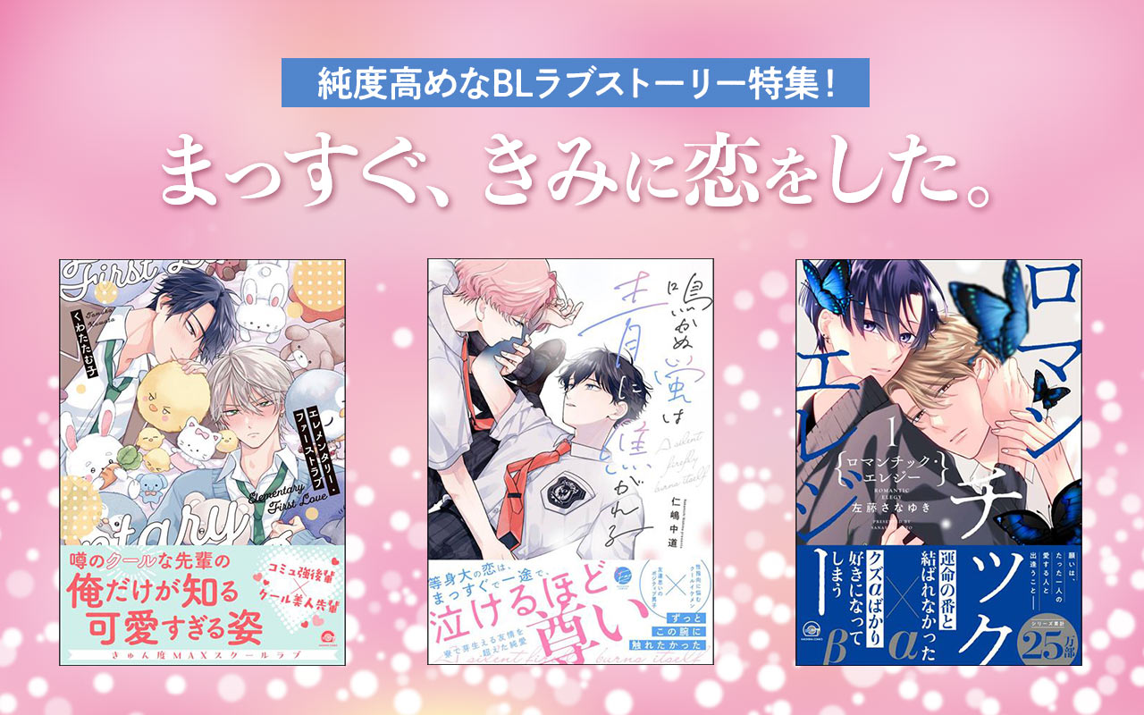【TL・BL・ラノベ】BL特集