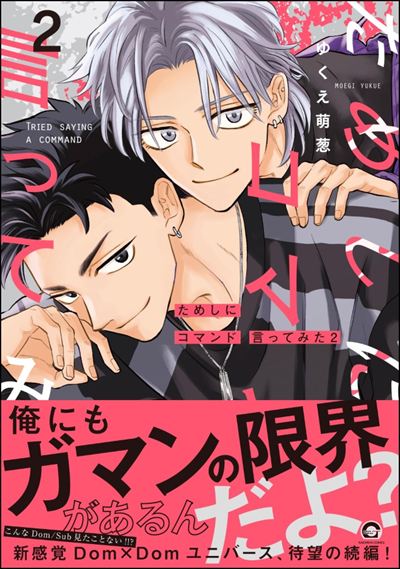 ためしにコマンド言ってみた （2） 