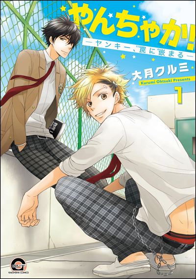 やんちゃか！─ヤンキー、罠に嵌まる─（分冊版） 