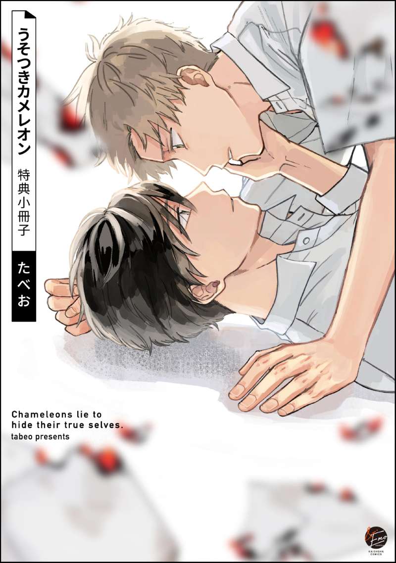 うそつきカメレオン 特典小冊子