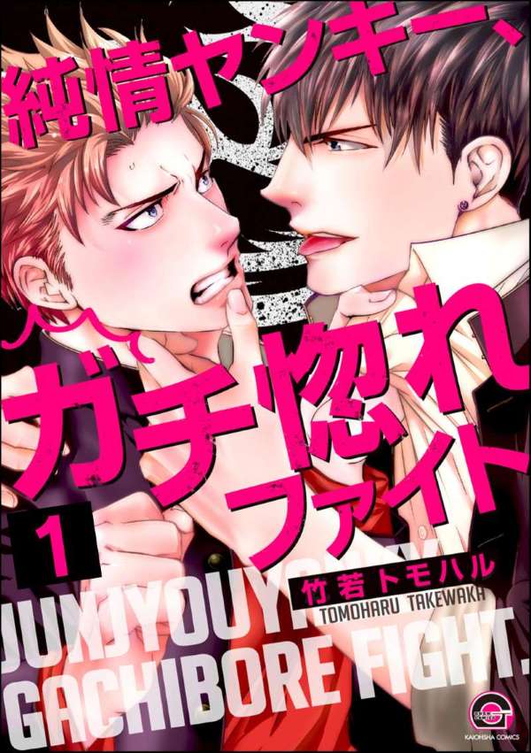 純情ヤンキー、ガチ惚れファイト（分冊版） 