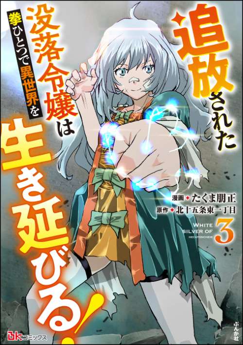 追放された没落令嬢は拳ひとつで異世界を生き延びる！ コミック版 （3）