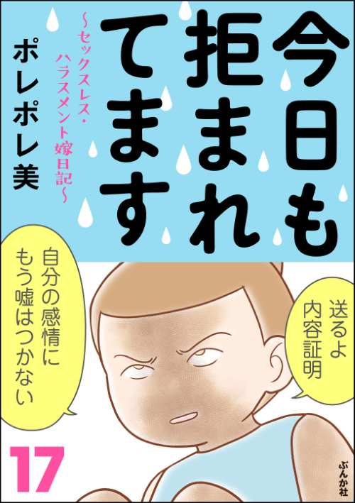 今日も拒まれてます～セックスレス・ハラスメント 嫁日記～ （17）