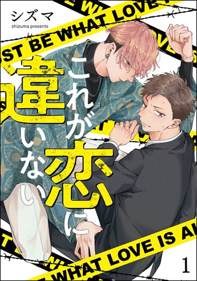 これが恋に違いない（分冊版） 